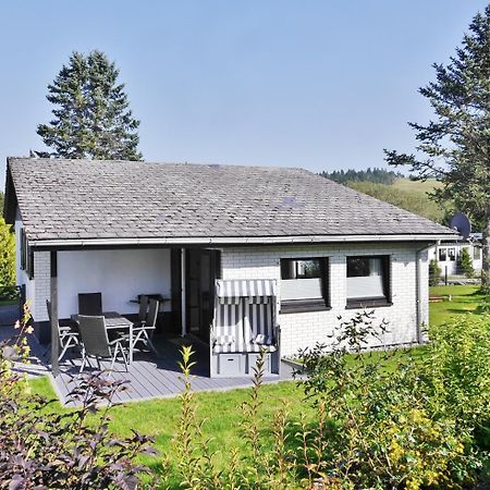 Ferienhaus Diemelquelle - Mit Eingezaeuntem Garten ヴィリンゲン エクステリア 写真