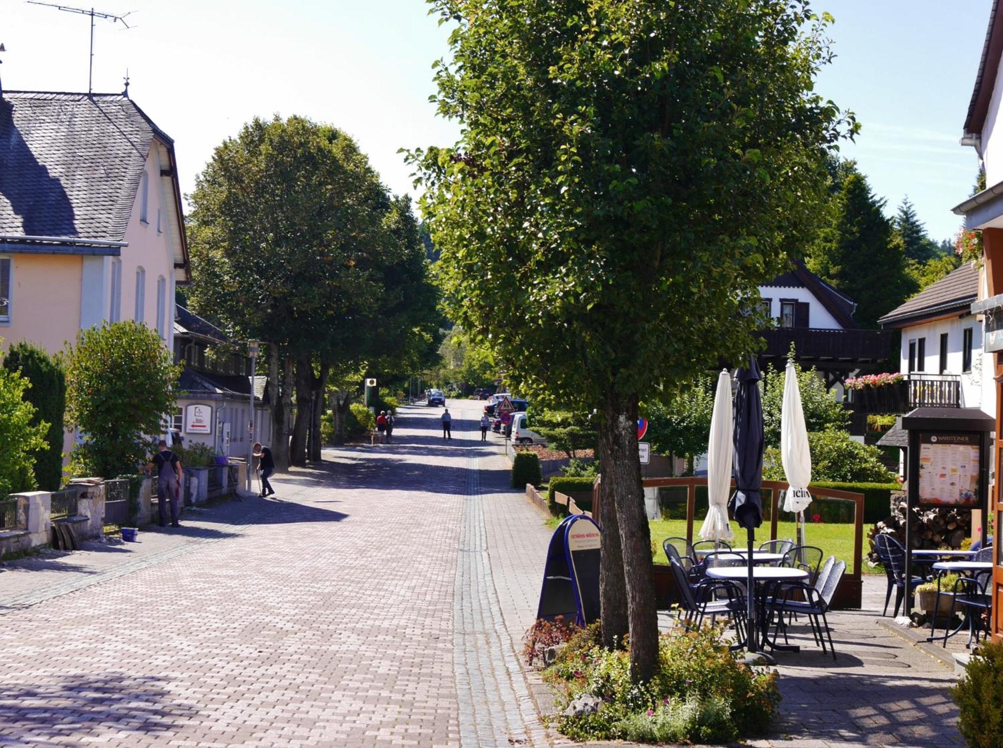 Ferienhaus Diemelquelle - Mit Eingezaeuntem Garten ヴィリンゲン エクステリア 写真