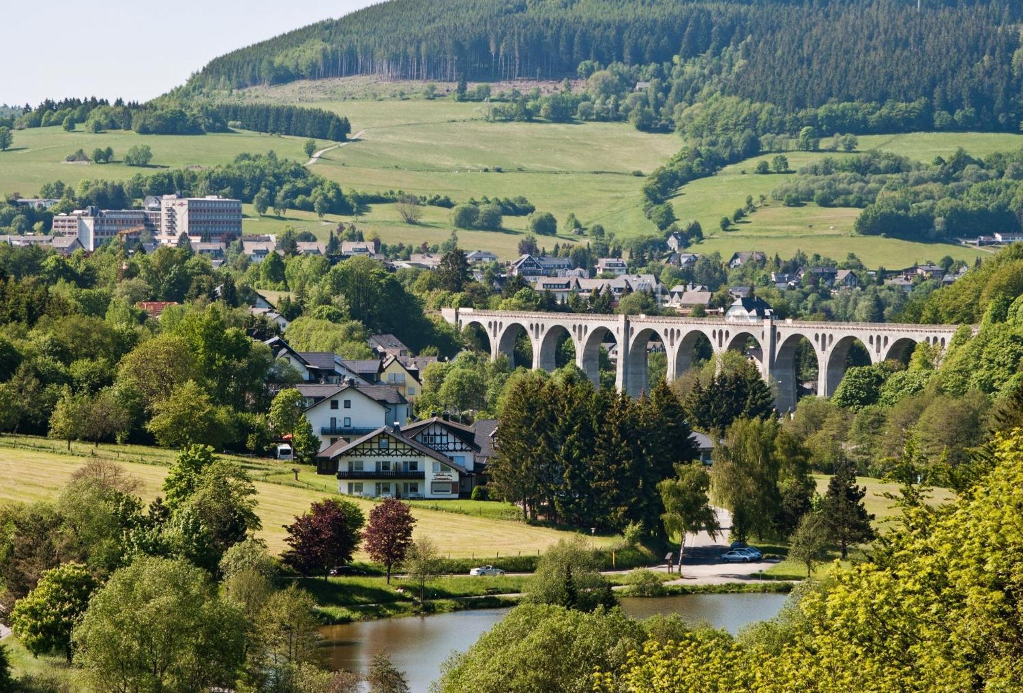 Ferienhaus Diemelquelle - Mit Eingezaeuntem Garten ヴィリンゲン エクステリア 写真